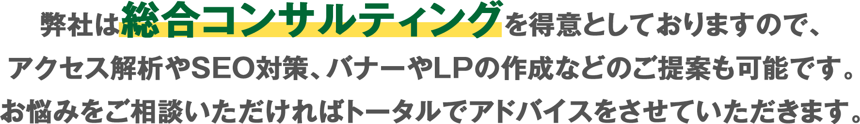 弊社は総合コンサルティングを得意としておりますので、アクセス解析やSEO対策、バナーやLPの作成などのご提案も可能です。お悩みをご相談いただければトータルでアドバイスをさせていただきます。