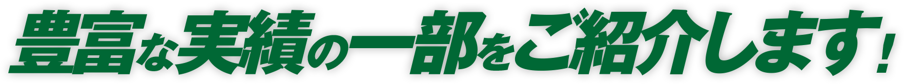 豊富な実績の一部をご紹介します！