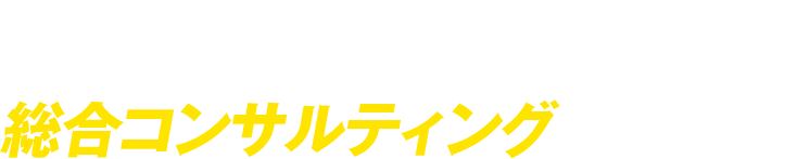 単なる広告代理店として CVを増やすだけではなく、 総合コンサルティングを提供します